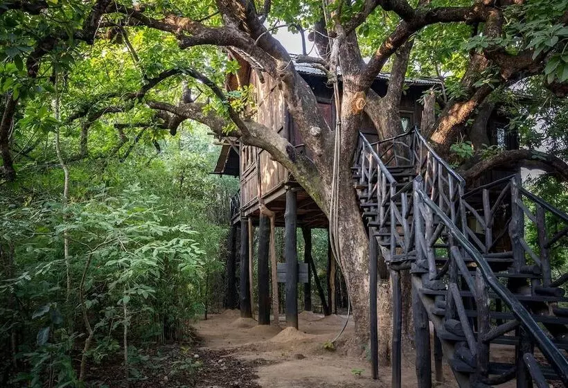ホテル Pugdundee Safaris  Tree House Hideaway