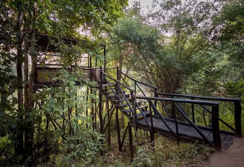 ホテル Pugdundee Safaris  Tree House Hideaway