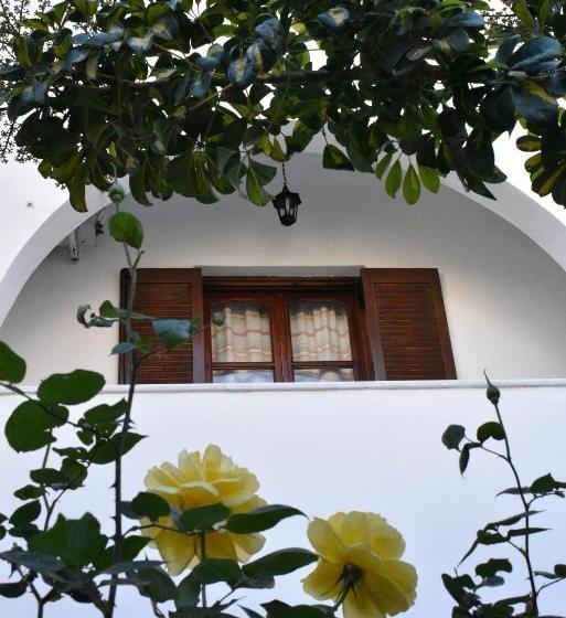 Studios Marina Naxos