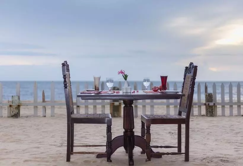 Lomakeskus Azure Tides Marari