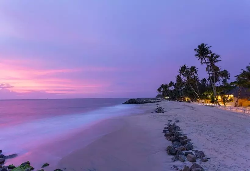 Lomakeskus Azure Tides Marari