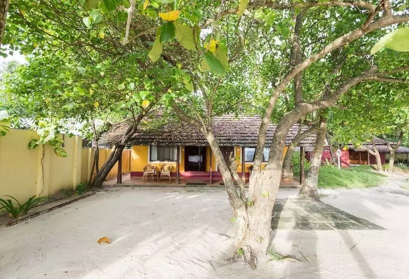 Lomakeskus Azure Tides Marari