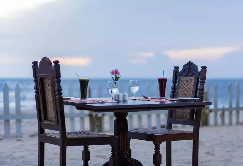 Lomakeskus Azure Tides Marari