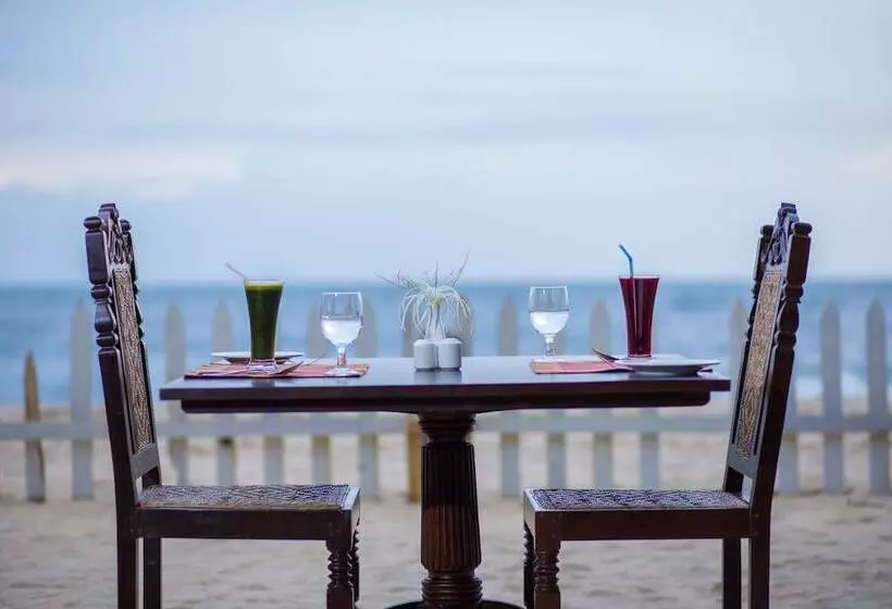 Lomakeskus Azure Tides Marari