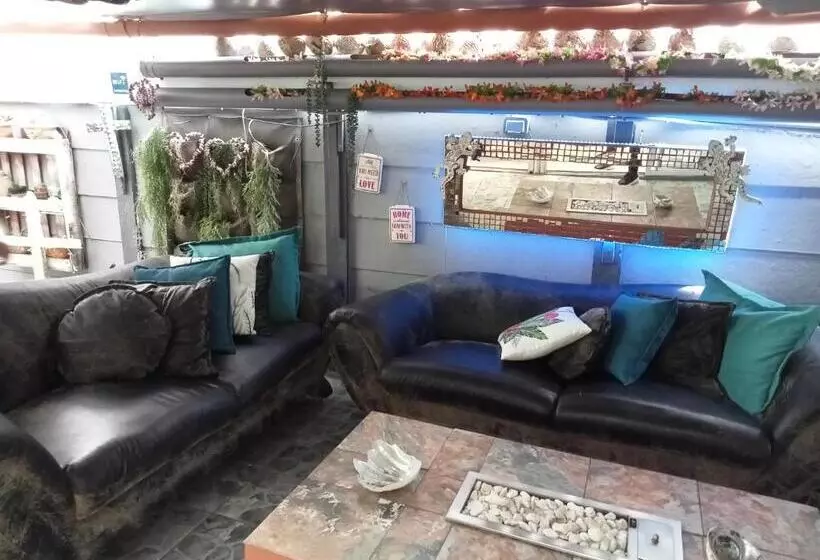 تختخواب و صبحانه Mitchell S Guesthouse