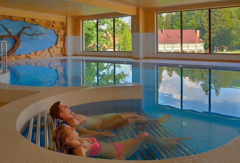 Hotel Buczyńskimedical&spa