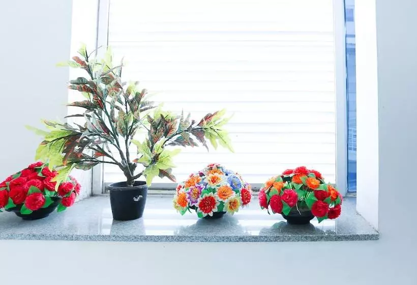 ホテル Treebo C Plaza