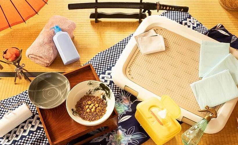 Pensionat Guest House Irodori Kamakura