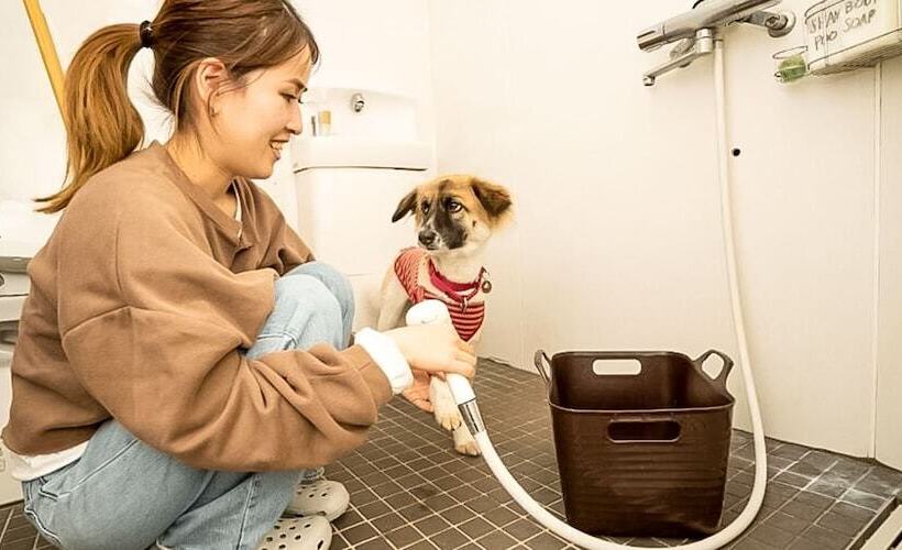 Pensionat Guest House Irodori Kamakura