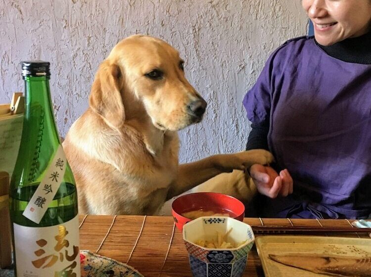 Pensionat Guest House Irodori Kamakura