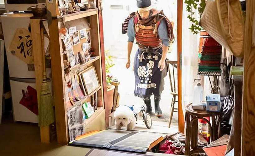 Pensionat Guest House Irodori Kamakura