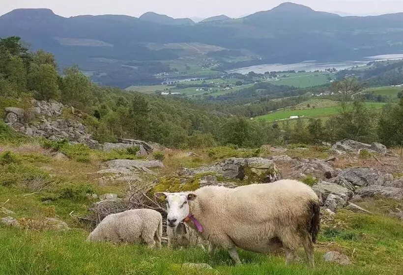 Pulpit Rock Hostel Vaulali