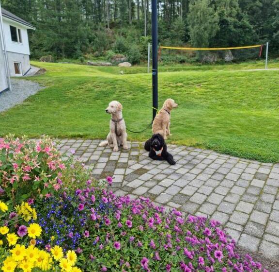 Pulpit Rock Hostel Vaulali