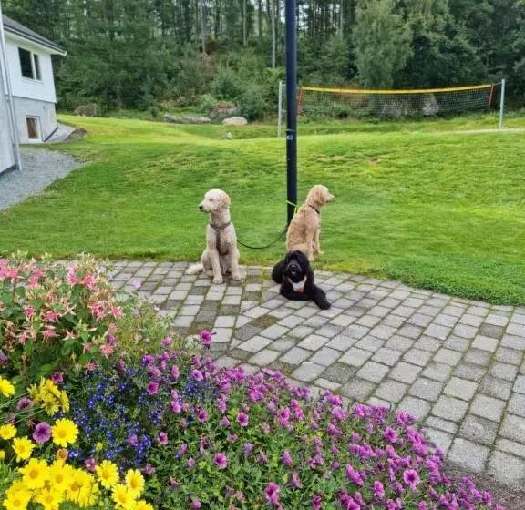 Pulpit Rock Hostel Vaulali