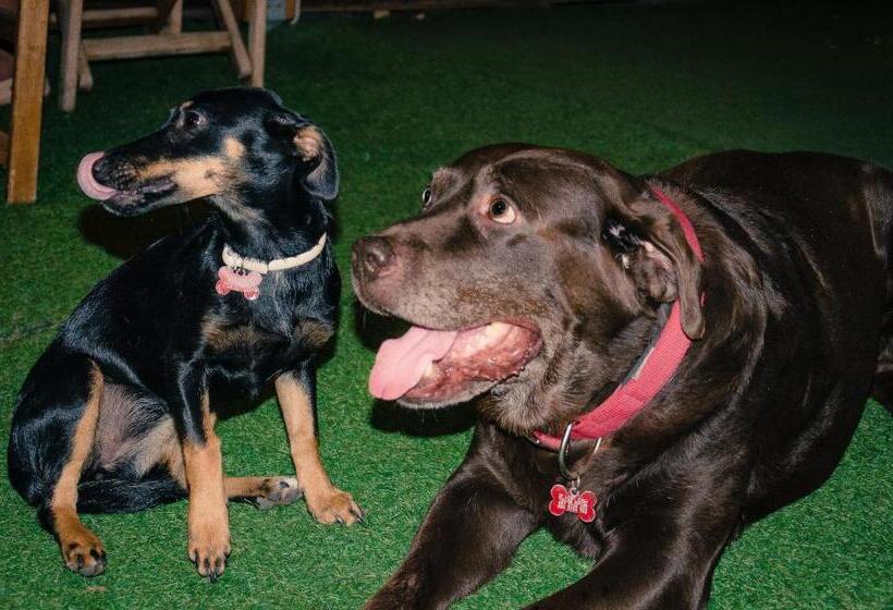 Talos Hotel Apartments