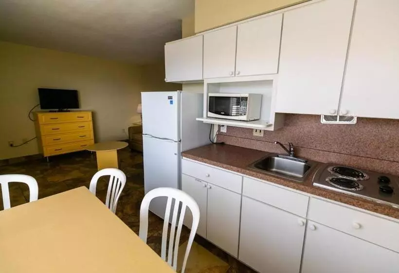 American Safari Motel