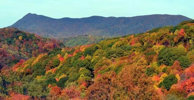 호텔 Alpine Village Inn