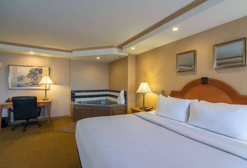 Ambassador Hotel Milwaukee, Trademark Collection By Wyndham