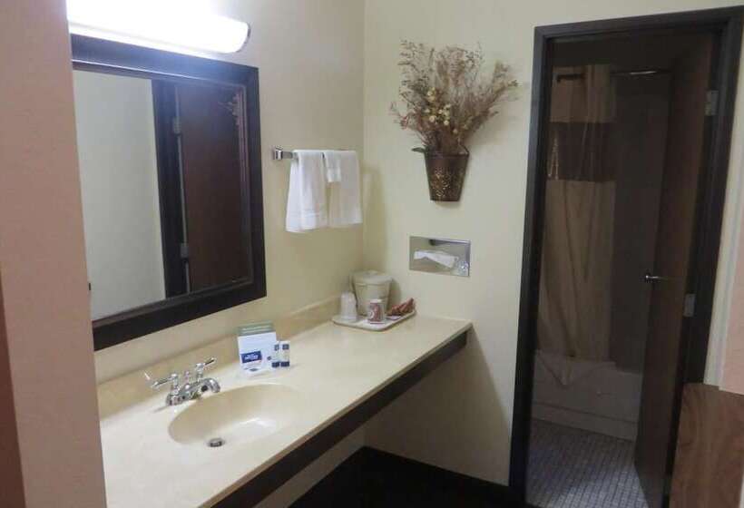 ホテル Americinn By Wyndham Forest Lake