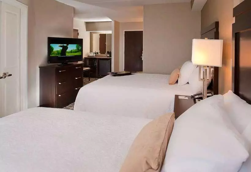 Szálloda Hampton Inn By Hilton Shelton