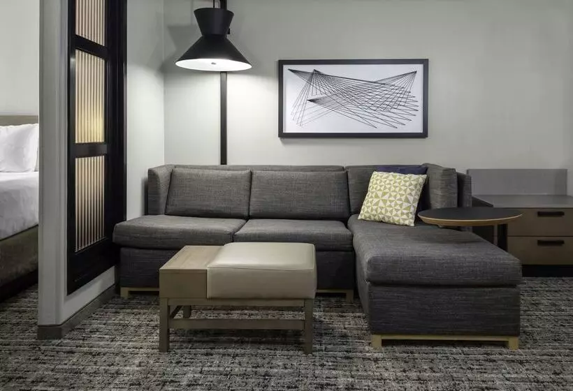 酒店 Hyatt Place Dallas/arlington