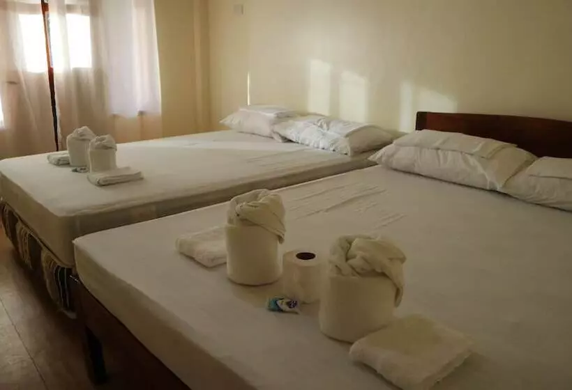 ベッドアンドブレックファースト Kimura Pension