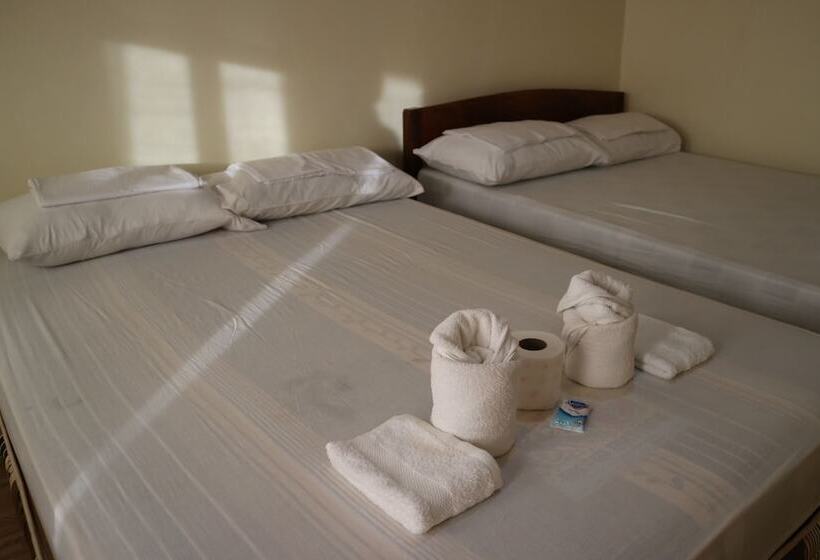 Bed & Breakfast Kimura Pension