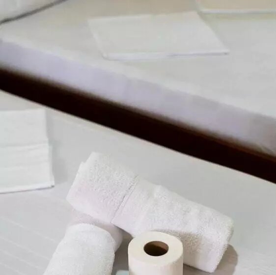 ベッドアンドブレックファースト Kimura Pension