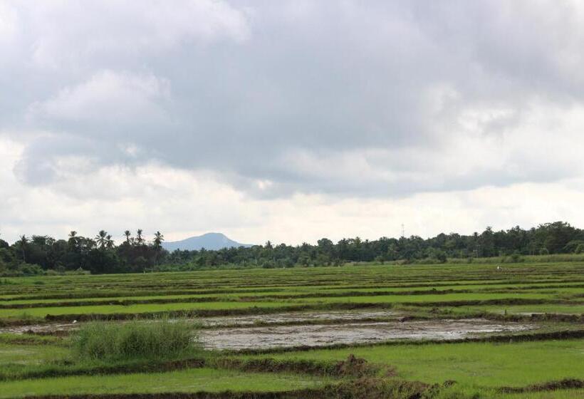 צימר Sunshine Tourist Rest