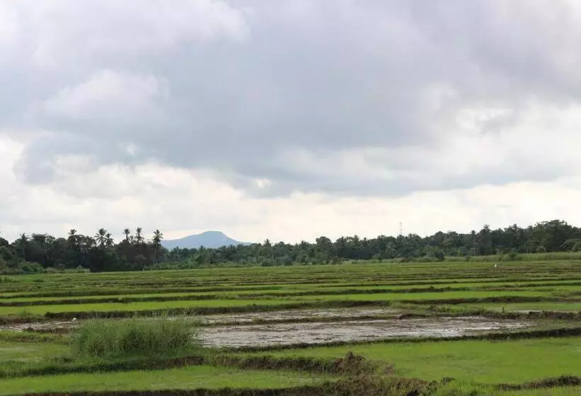 Aamiaismajoitus (B&B) Sunshine Tourist Rest