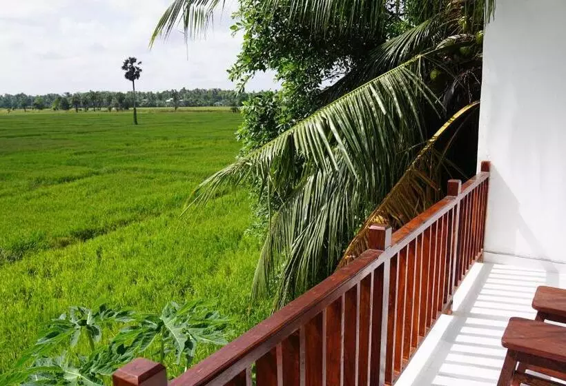 Aamiaismajoitus (B&B) Sunshine Tourist Rest