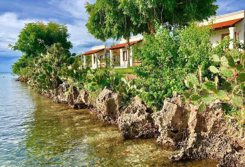 فندق Mwani House