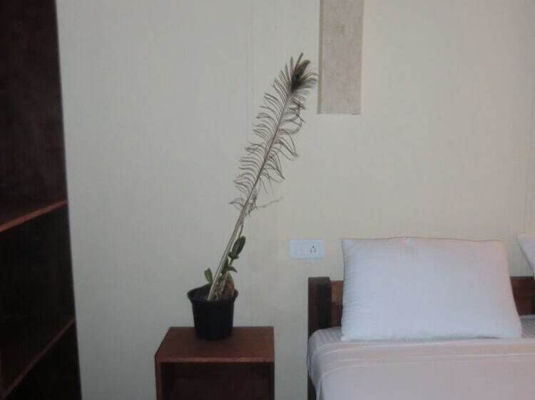 Курорт Diva Bungalows