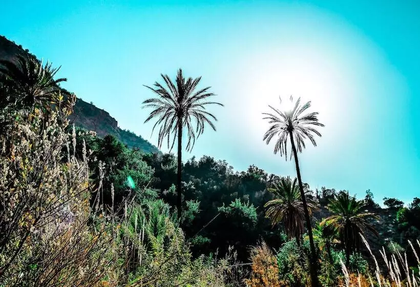 Retkeilymaja Sunset Surfhouse Morocco