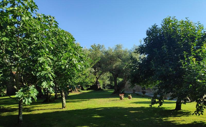 Casas Da Quinta Da Cancela