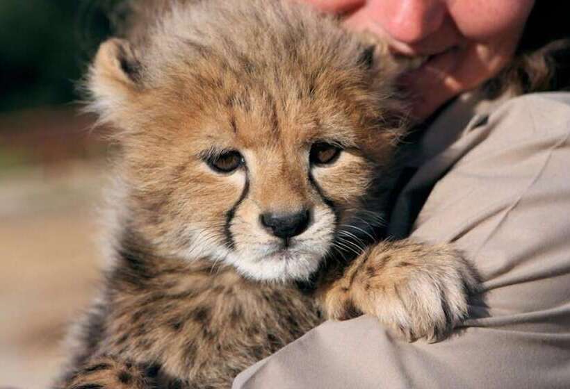 Farm Stays, Here You Will Be Able To Relax And Enjoy The Beauty Of Nature