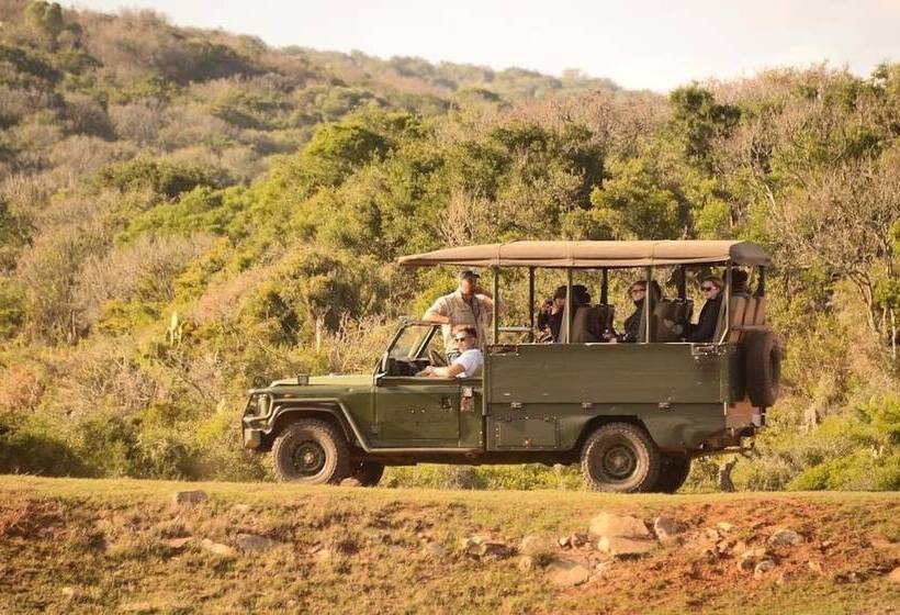 Farm Stays, Here You Will Be Able To Relax And Enjoy The Beauty Of Nature