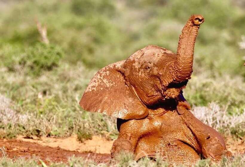 Farm Stays, Here You Will Be Able To Relax And Enjoy The Beauty Of Nature