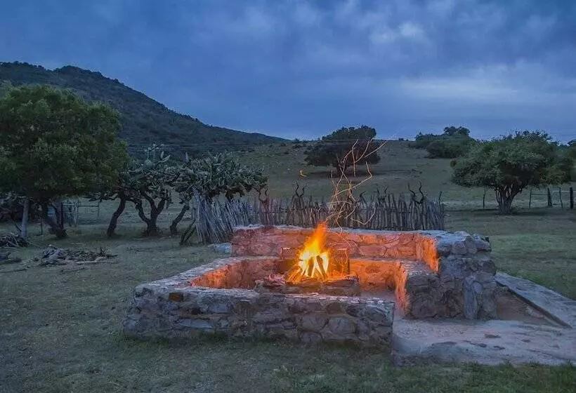 Farm Stays, Here You Will Be Able To Relax And Enjoy The Beauty Of Nature