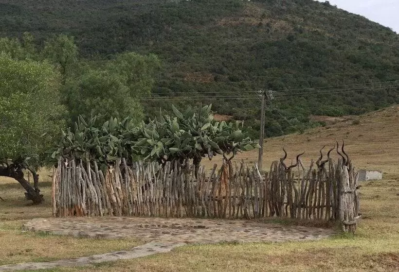 Farm Stays, Here You Will Be Able To Relax And Enjoy The Beauty Of Nature