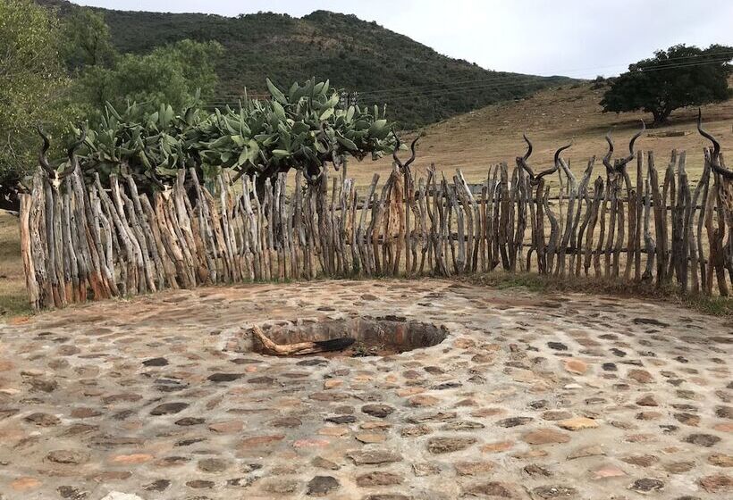 Farm Stays, Here You Will Be Able To Relax And Enjoy The Beauty Of Nature