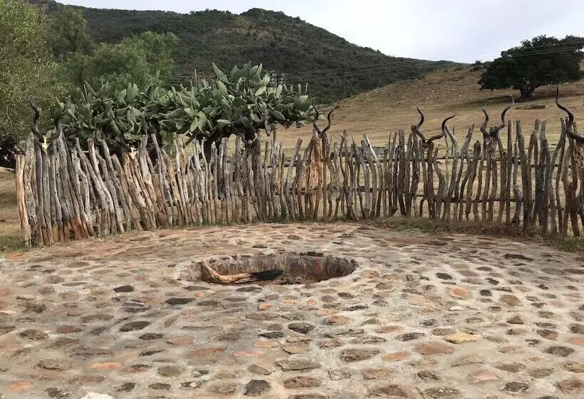Farm Stays, Here You Will Be Able To Relax And Enjoy The Beauty Of Nature