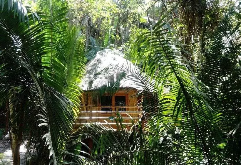 Hotelli Aldea Bamboo Village   Glamping