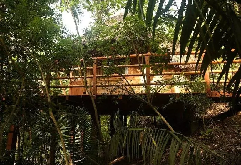 Hotelli Aldea Bamboo Village   Glamping