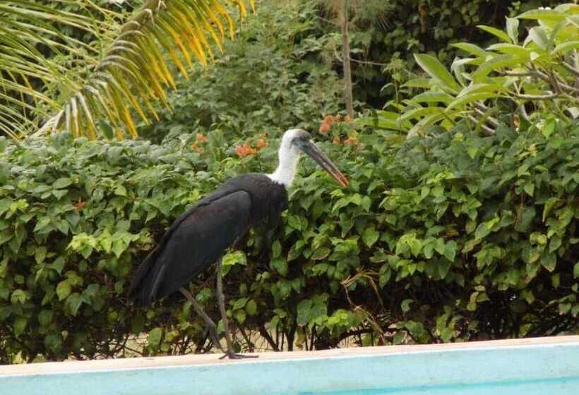 هتل Eco Villas Watamu