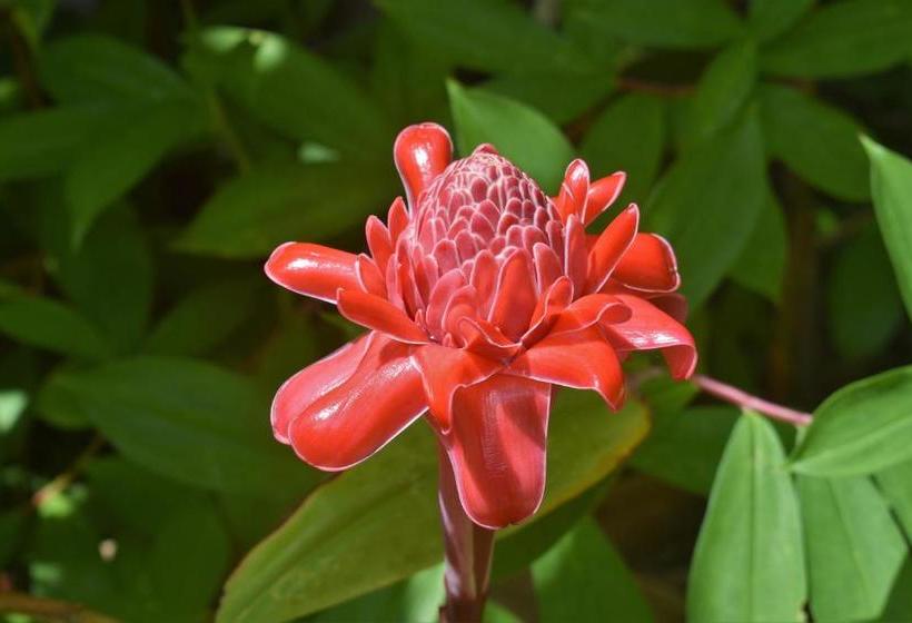 Jardines Vista Del Mar Condos