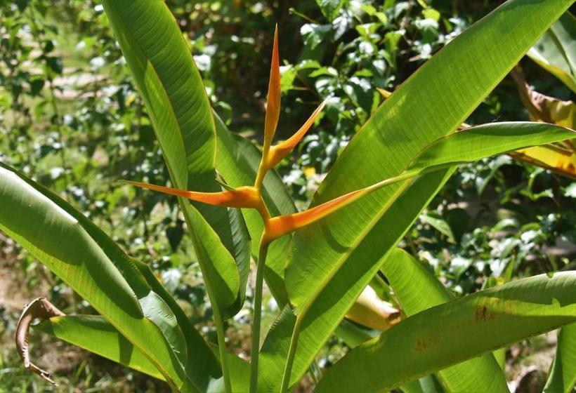 Jardines Vista Del Mar Condos