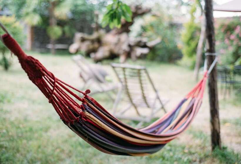 پانسیون Chateau Eniseli