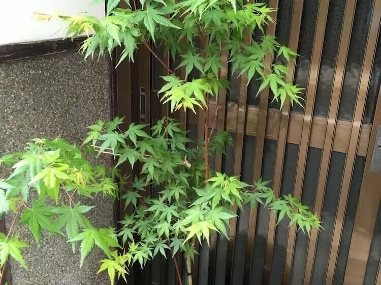 ペンション Kyoto Guest House Waon