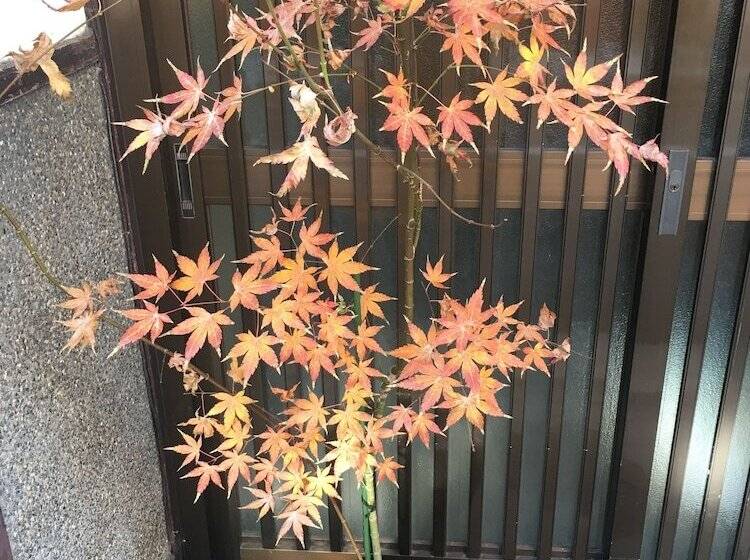 پانسیون Kyoto Guest House Waon